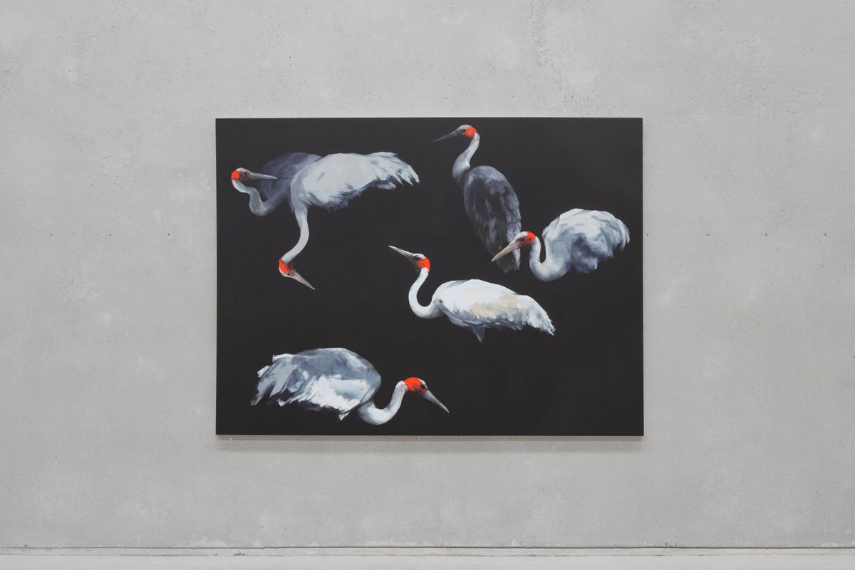 Nigel Milsom: Judo-House part 10 (plain crazy)