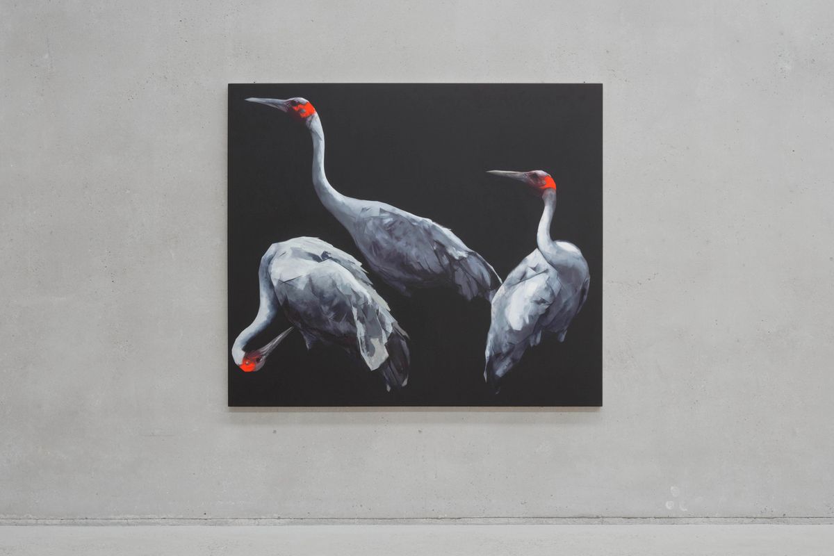 Nigel Milsom: Judo-House part 10 (plain crazy)