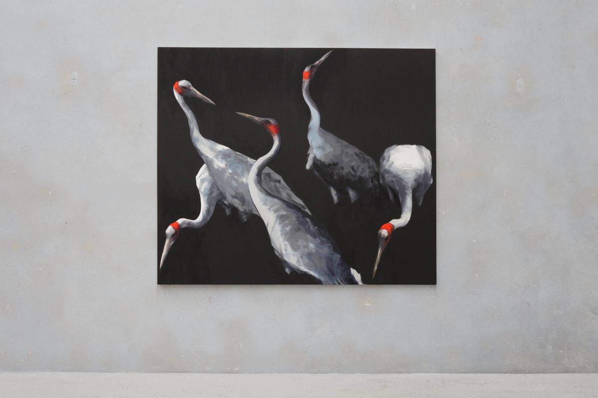 Nigel Milsom: Judo-House part 10 (plain crazy)