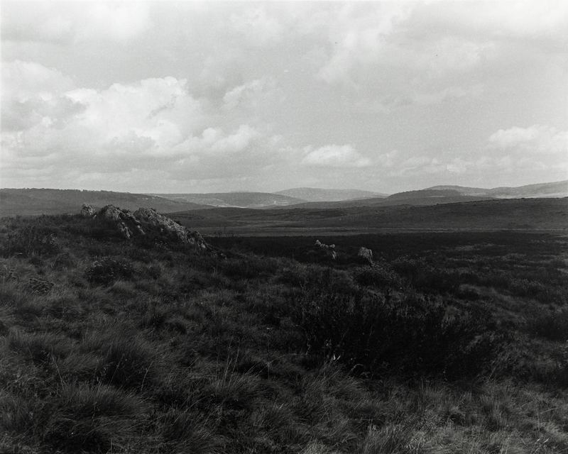 Amanda Williams, High Plains Kosciuszko National Park Wolgalu/Ngarigo Country (4417/7), 2019