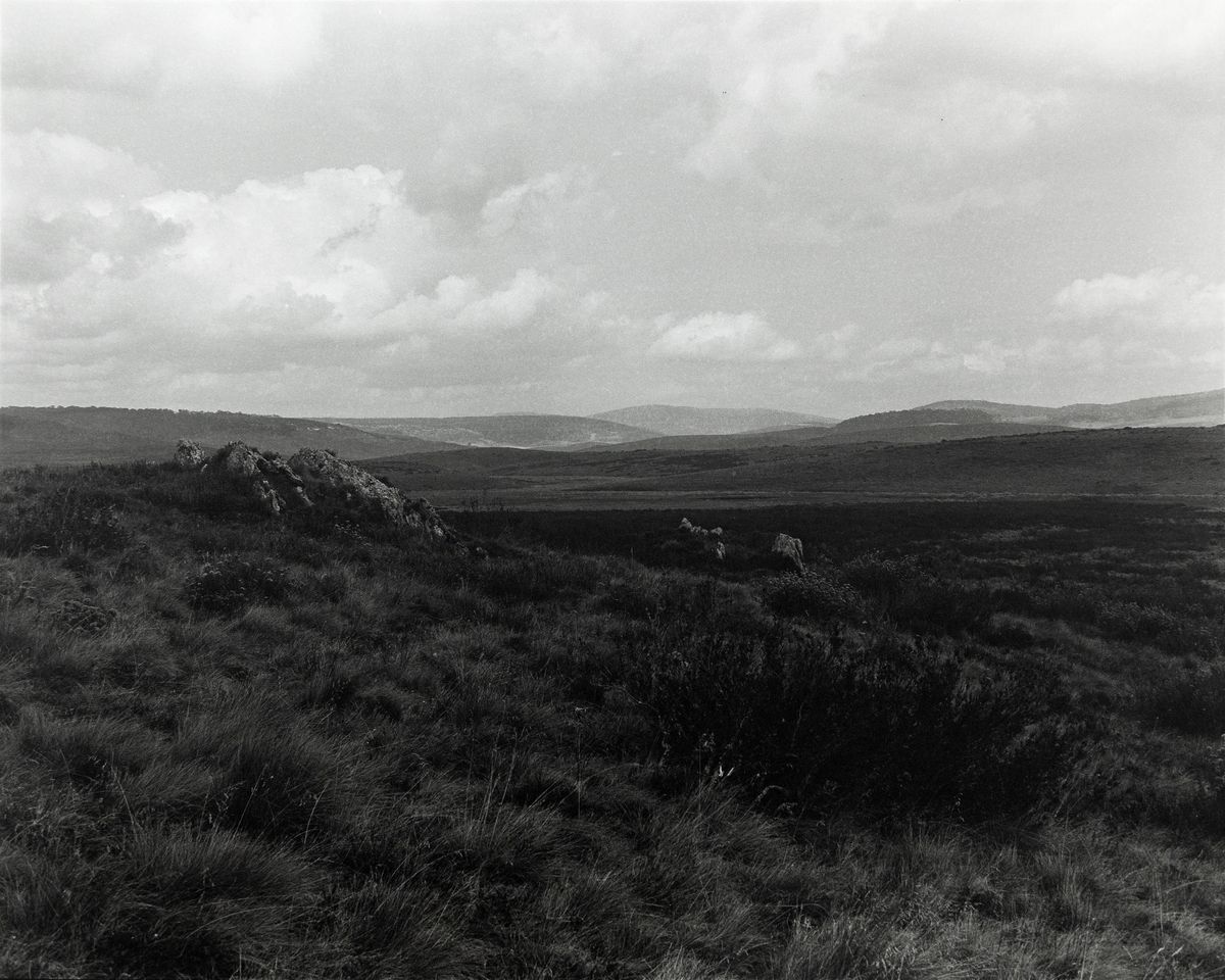 High Plains Kosciuszko National Park Wolgalu/Ngarigo Country (4417/7)