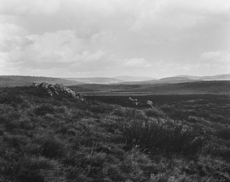 Amanda Williams, High Plains Kosciuszko National Park Wolgalu/Ngarigo Country (4417/7), 2019