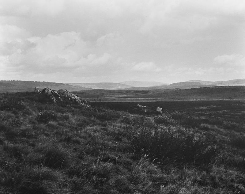 Amanda Williams, High Plains Kosciuszko National Park Wolgalu/Ngarigo Country (4417/7), 2019