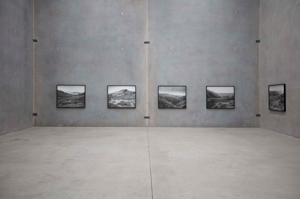 Amanda Williams: Alpine Bogs and Associated Fens