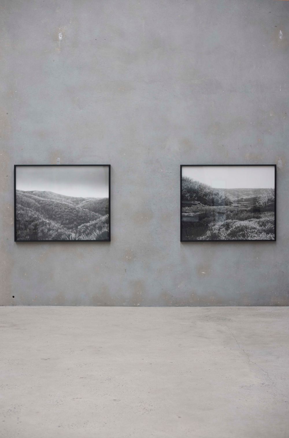 Amanda Williams: Alpine Bogs and Associated Fens