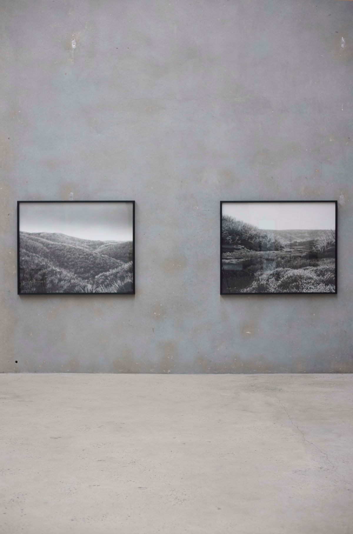 Amanda Williams: Alpine Bogs and Associated Fens