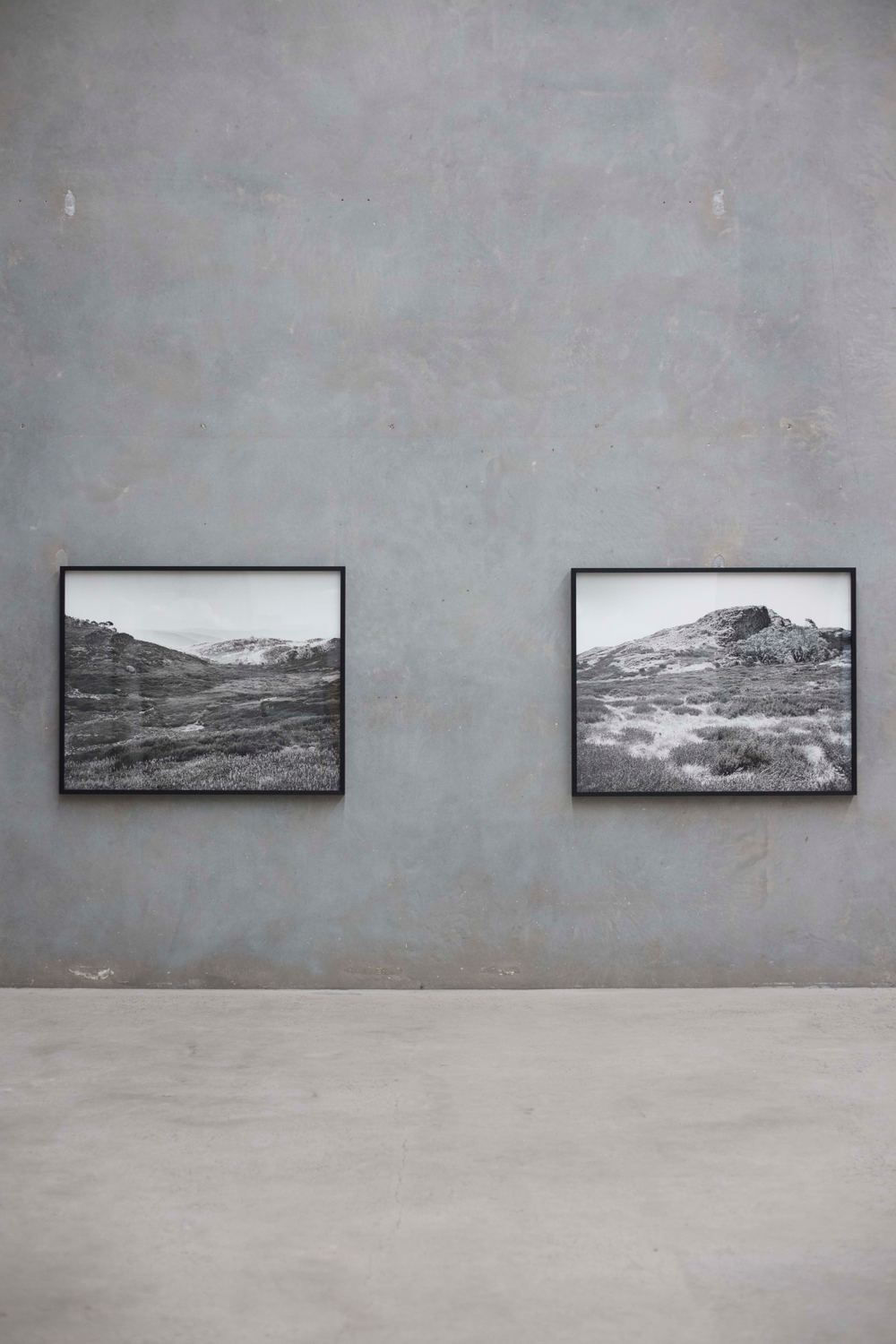 Amanda Williams: Alpine Bogs and Associated Fens