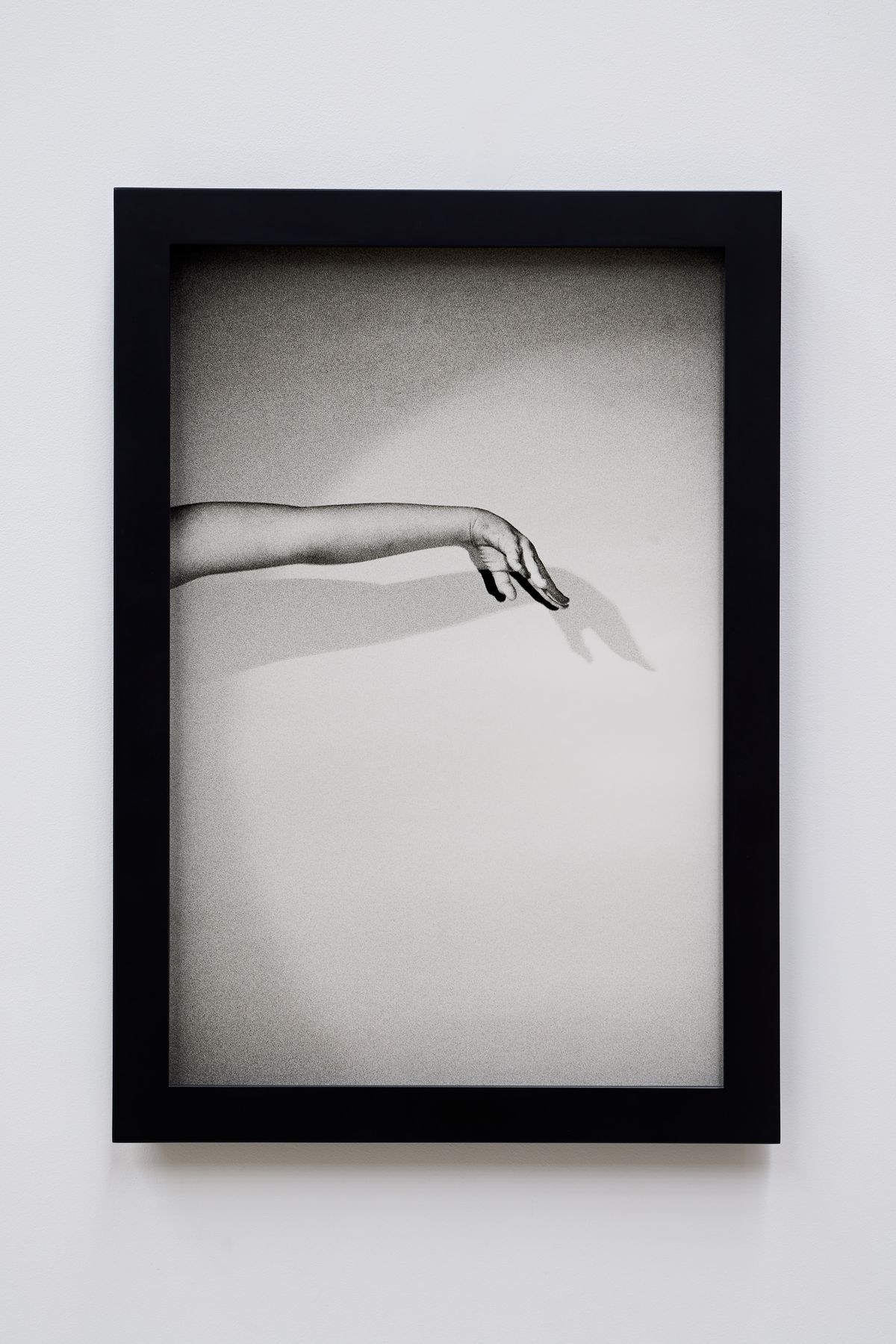 Or your shadow, rising to meet you 2