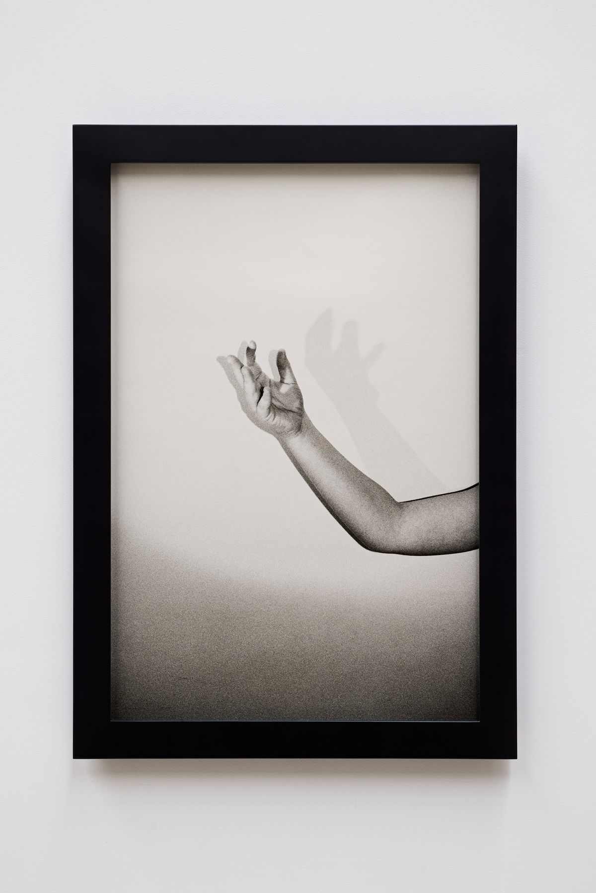 Or your shadow, rising to meet you 3