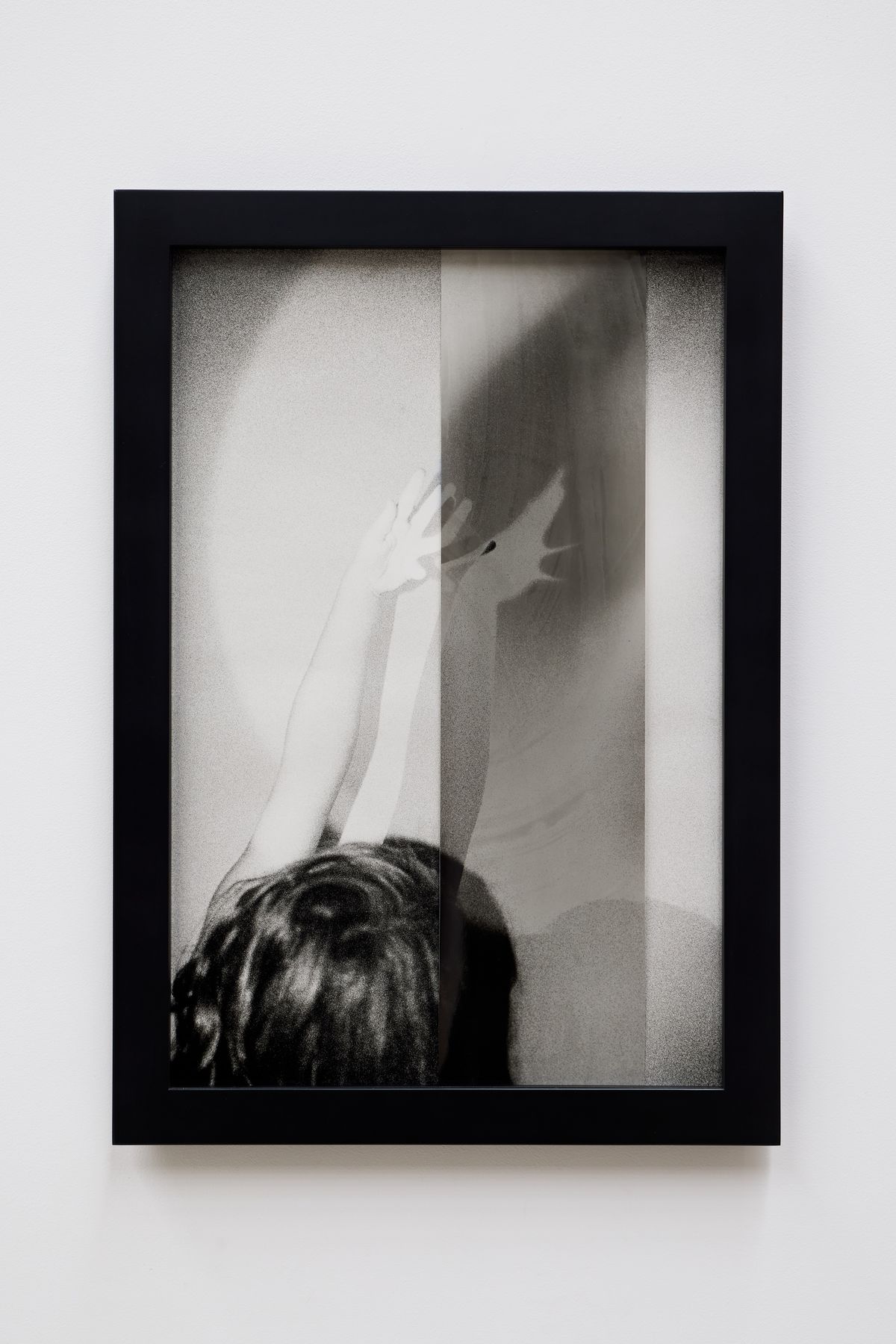 Or your shadow, rising to meet you 4