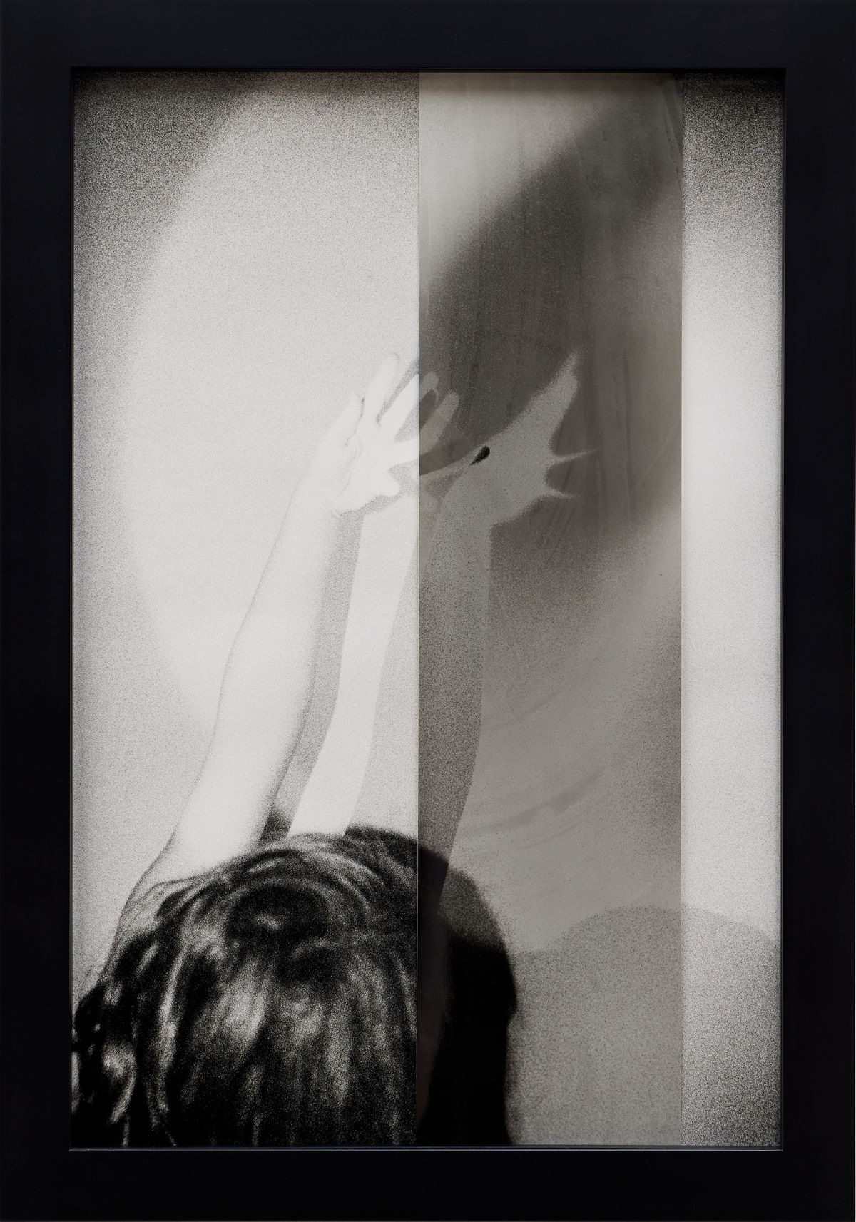 Or your shadow, rising to meet you 4