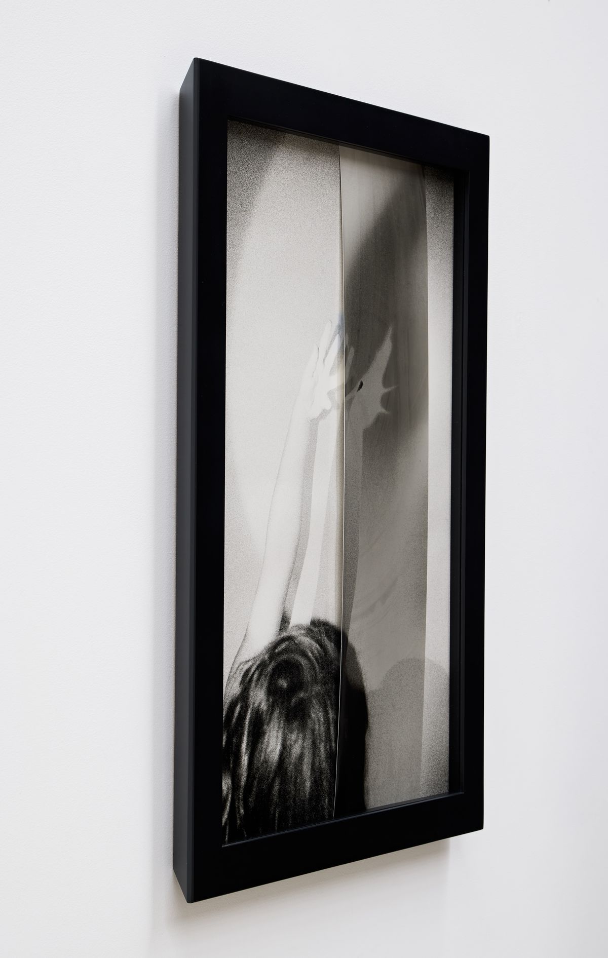 Or your shadow, rising to meet you 4