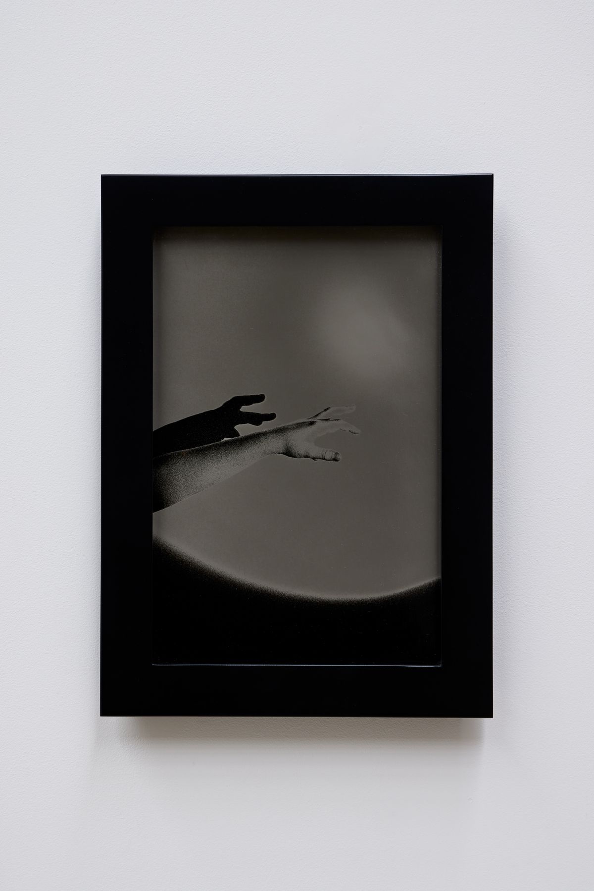 Or your shadow, rising to meet you 5