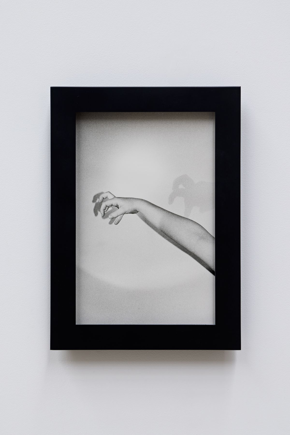 Or your shadow, rising to meet you 6