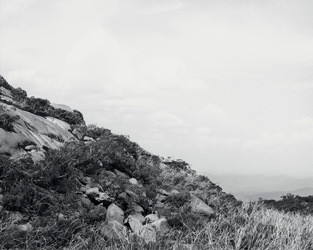 PHOTO 2021 | International Festival of Photography: The Truth