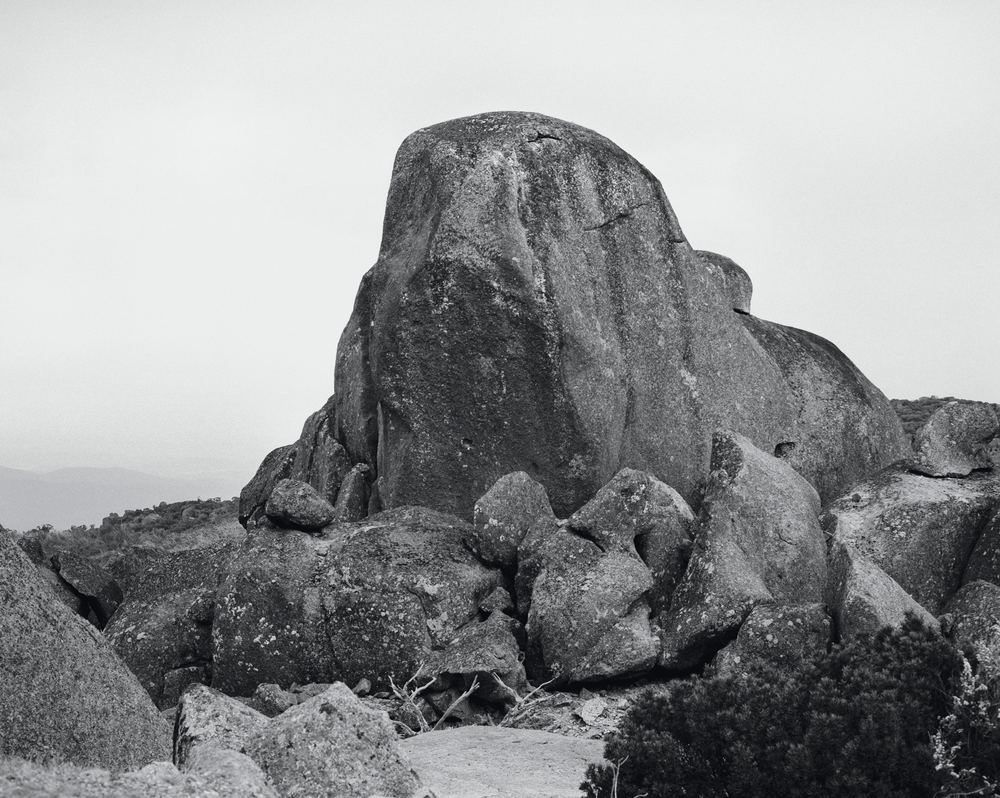 PHOTO 2021 | International Festival of Photography: The Truth