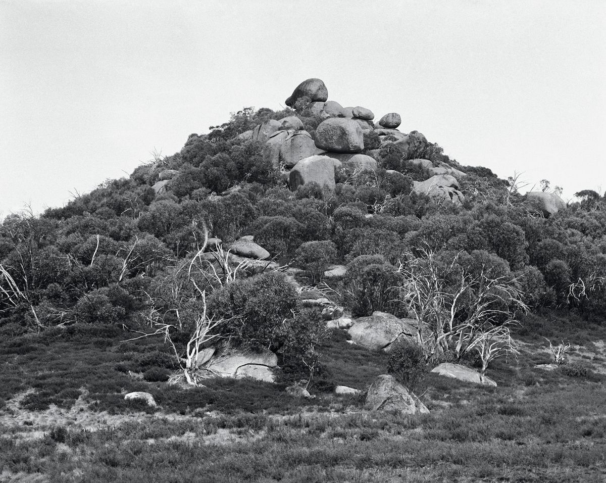 PHOTO 2021 | International Festival of Photography: The Truth