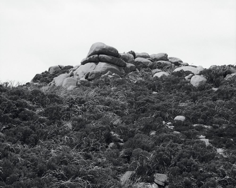 PHOTO 2021 | International Festival of Photography: The Truth