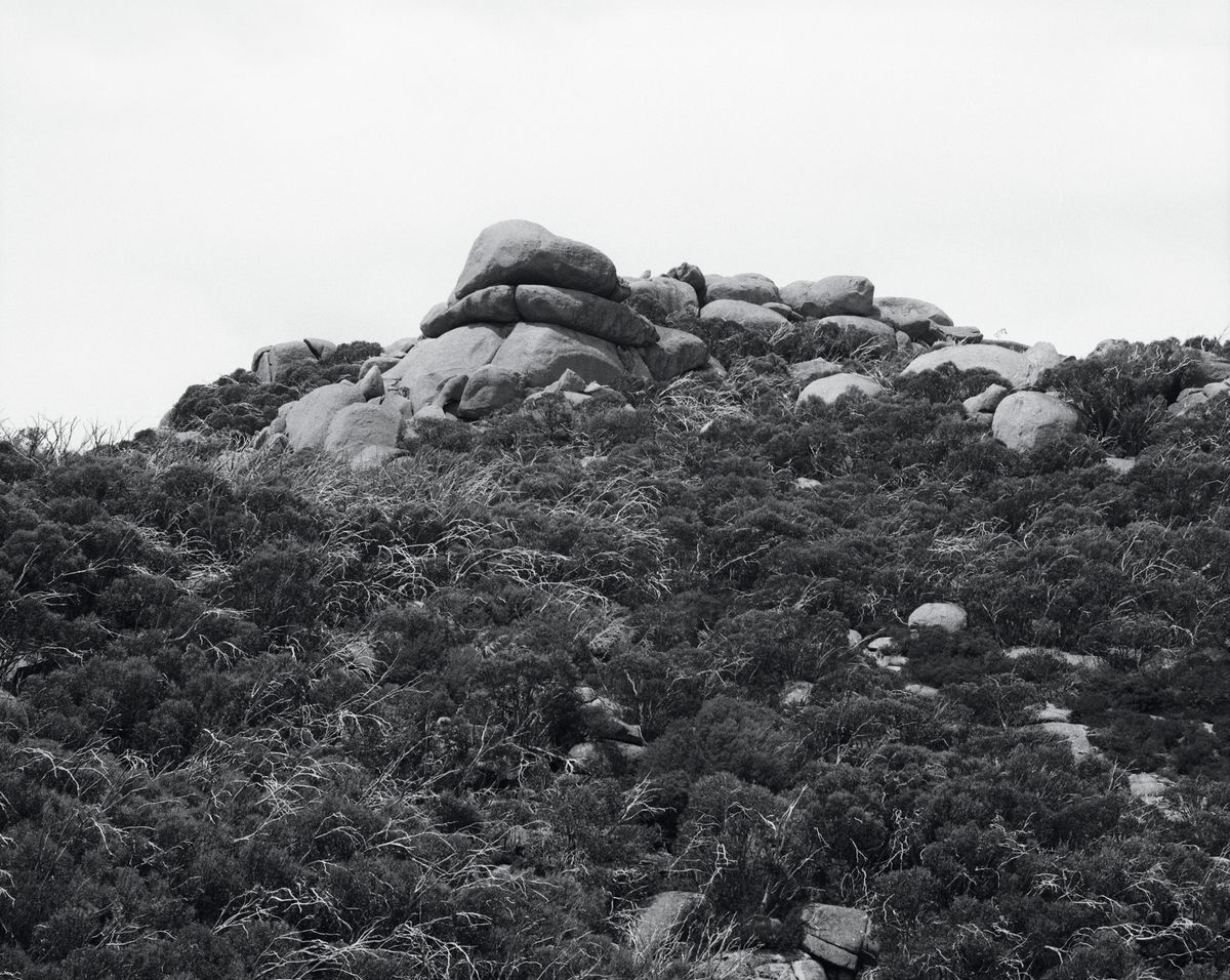 PHOTO 2021 | International Festival of Photography: The Truth