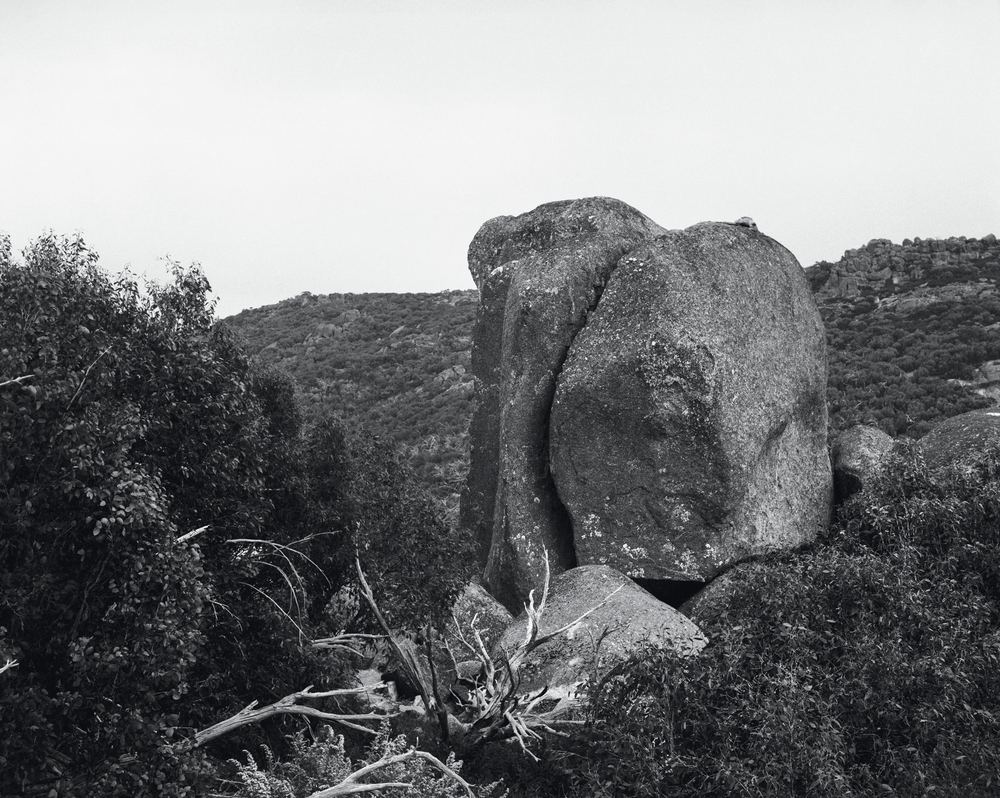 PHOTO 2021 | International Festival of Photography: The Truth