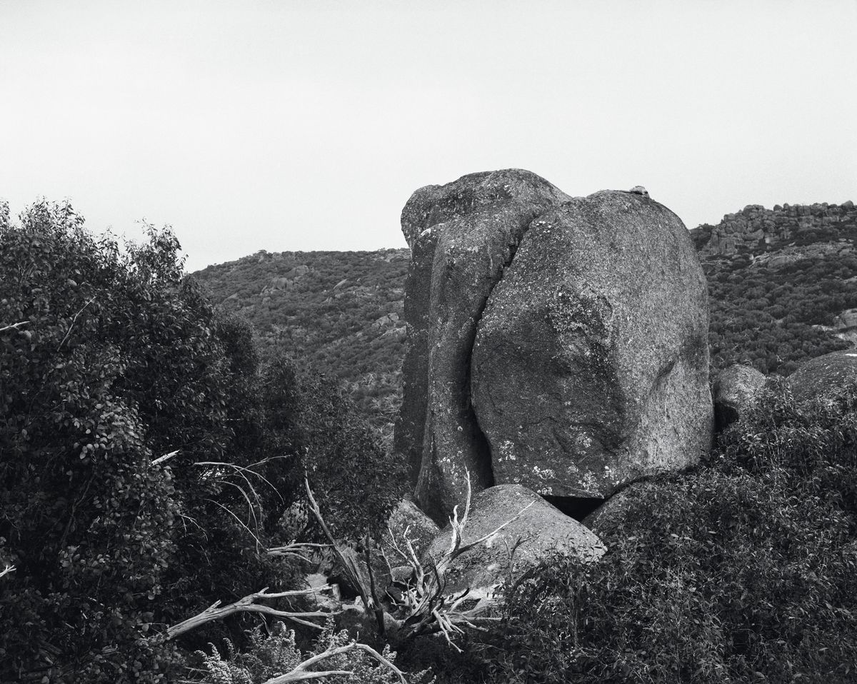 PHOTO 2021 | International Festival of Photography: The Truth