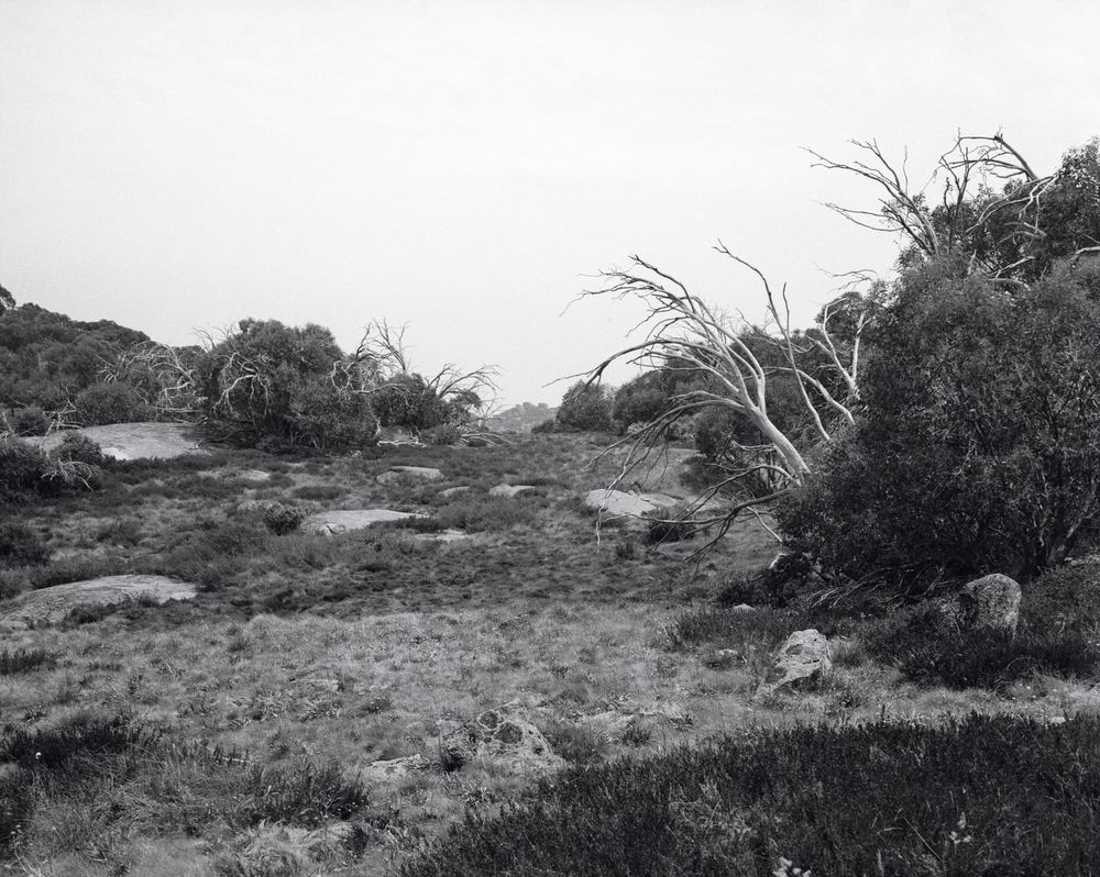 PHOTO 2021 | International Festival of Photography: The Truth