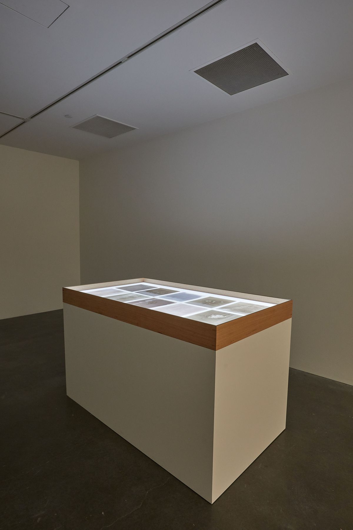 The National 4: Australian Art Now