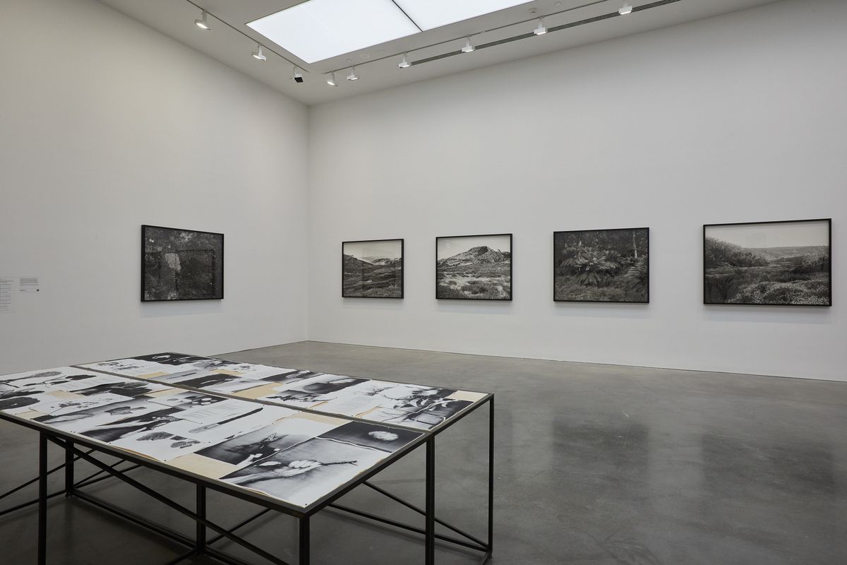 The National 4: Australian Art Now