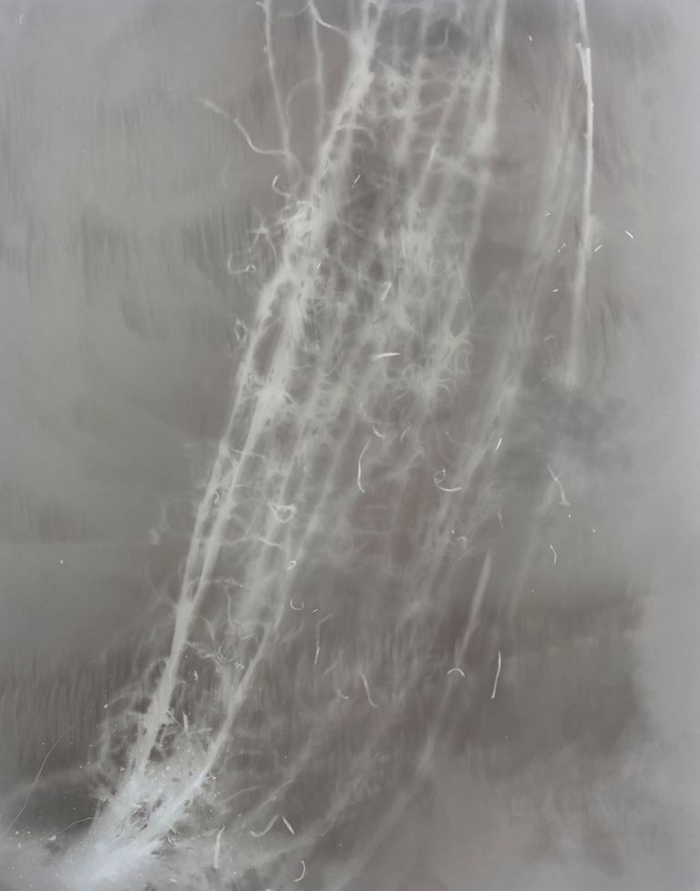 Amanda Williams, Phytograms IX (High Plains, Great Dividing Range) , 2023