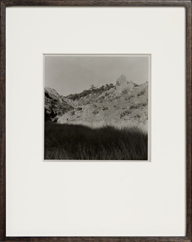 Amanda Williams, Nichols Gorge Walk, Kosciuszko National Park (4417/15), 2022