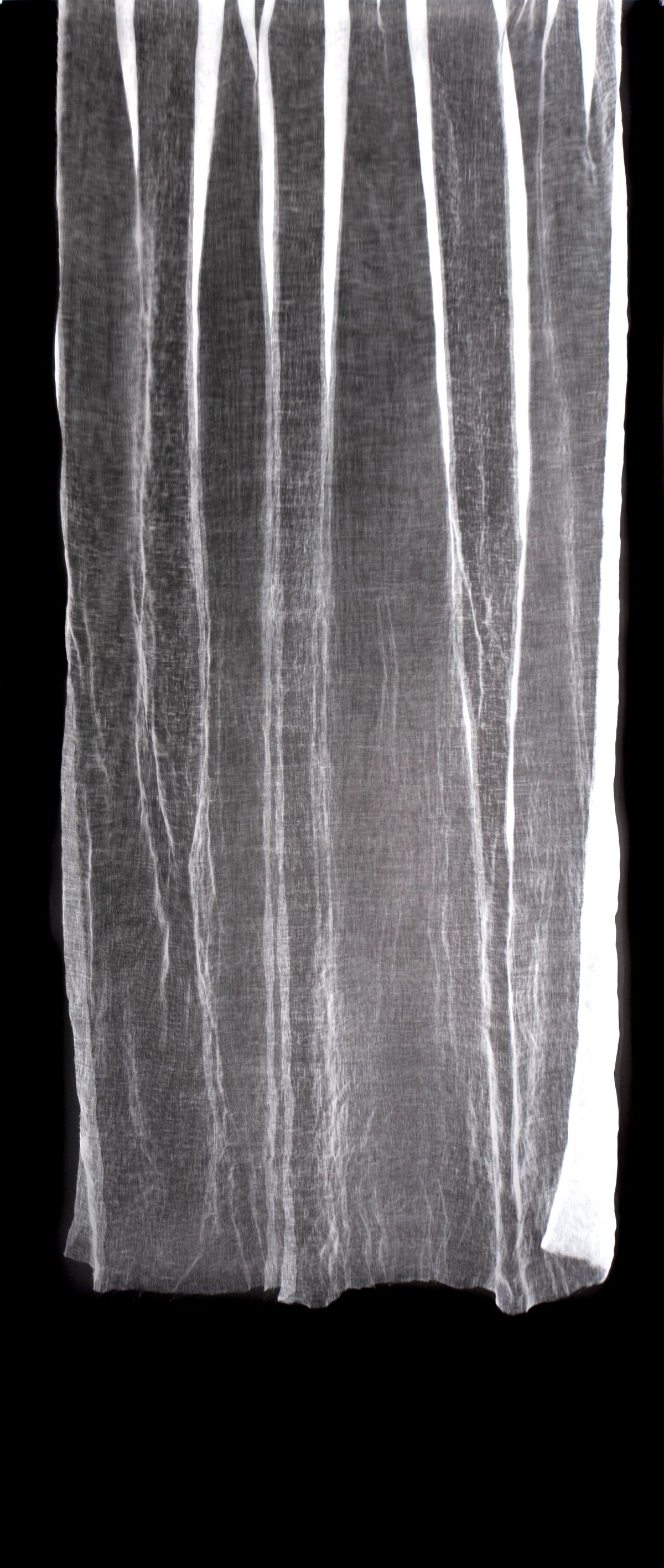 Untitled Photogram (linen) III