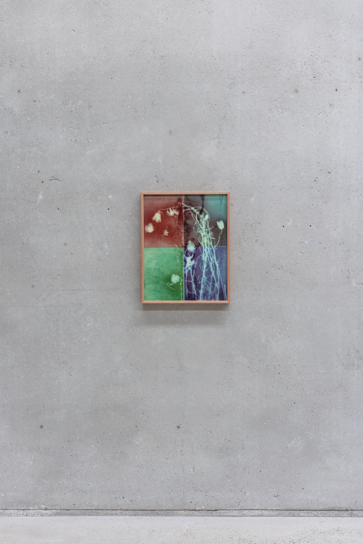 Amanda Williams: On the Action of the Rays of the Solar Spectrum