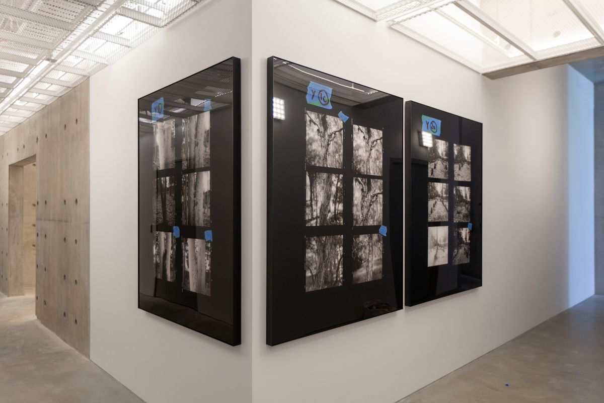 Amanda Williams: The Last Stand