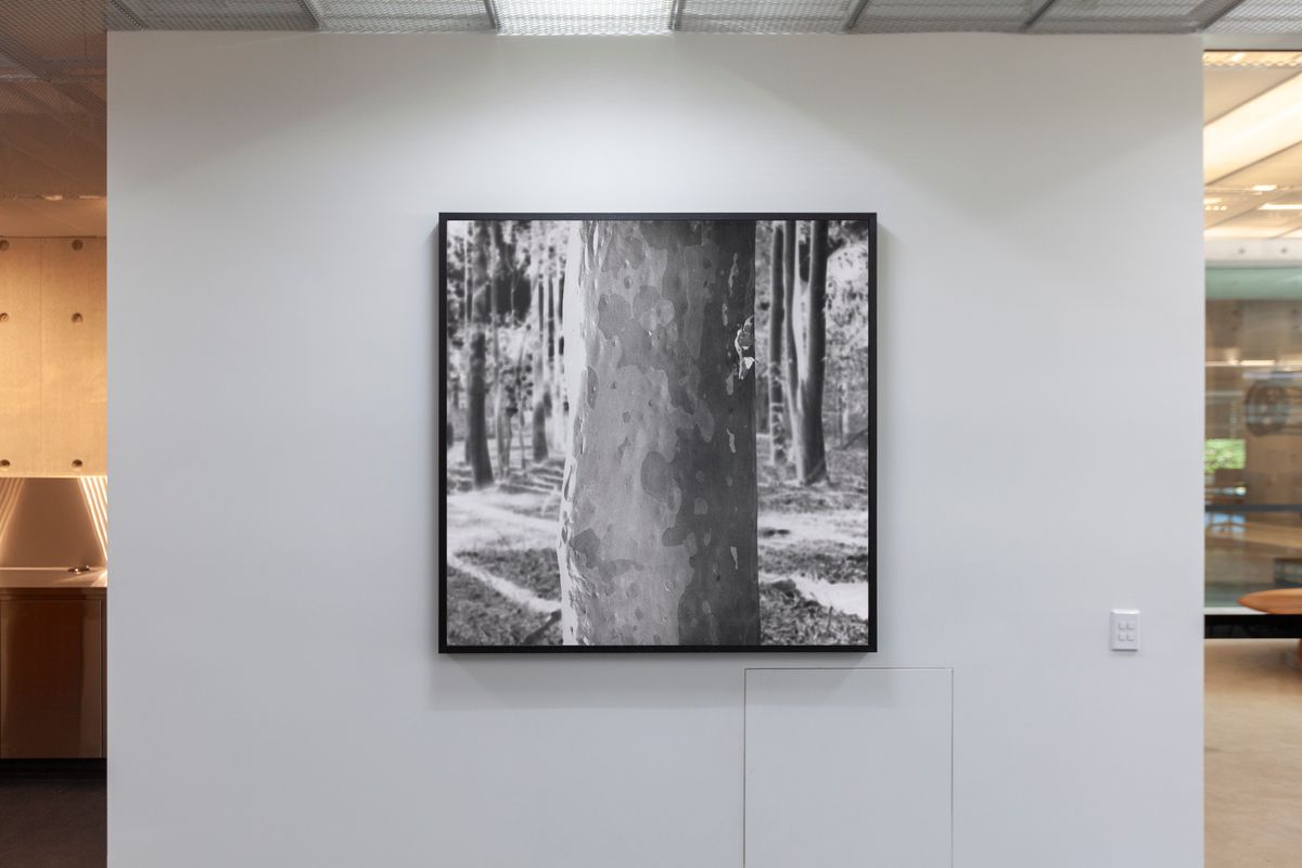 Amanda Williams: The Last Stand