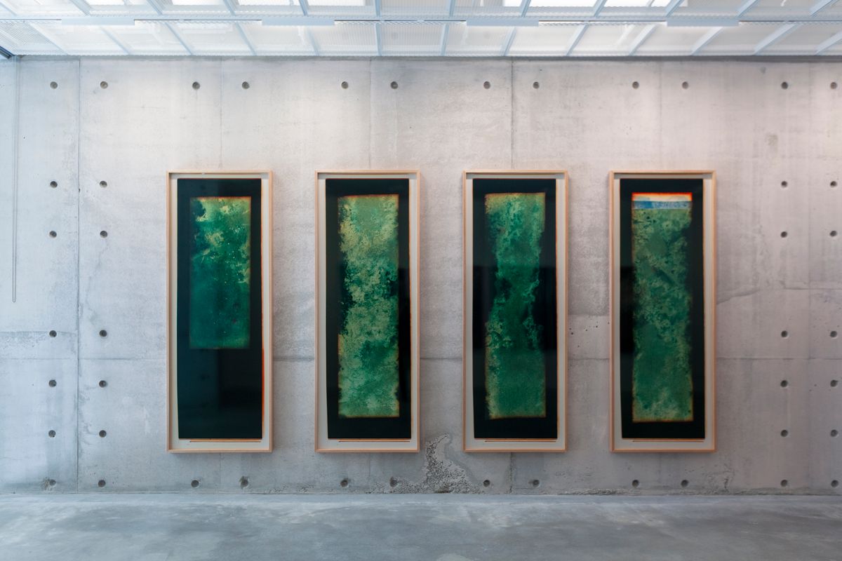 Amanda Williams: The Last Stand