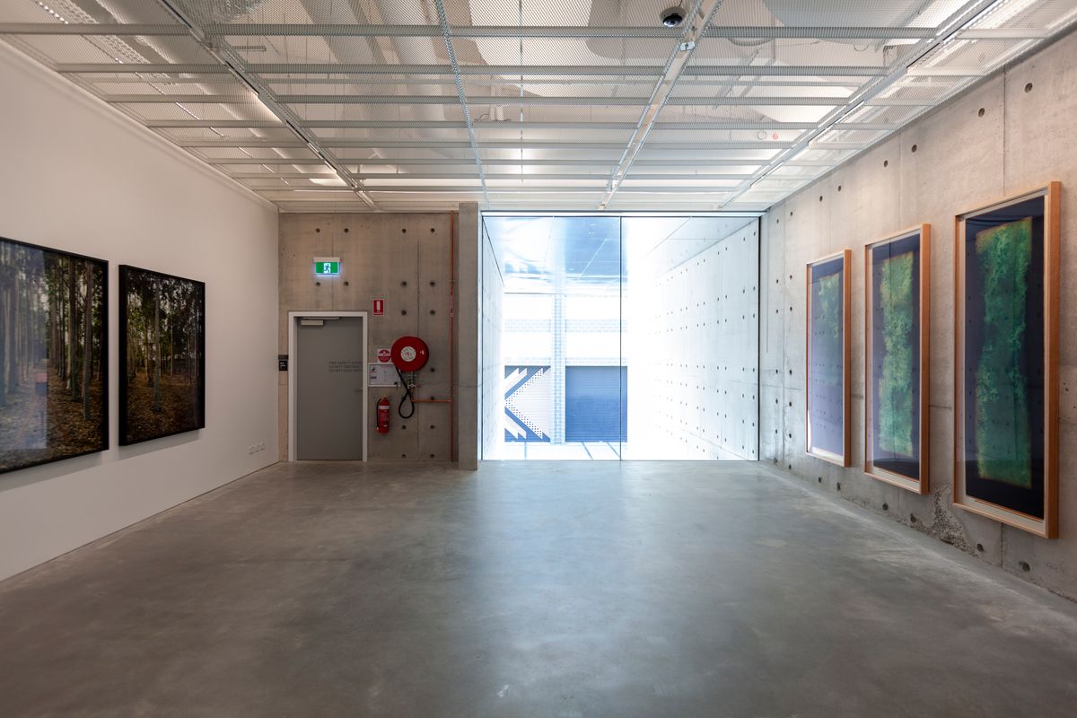 Amanda Williams: The Last Stand