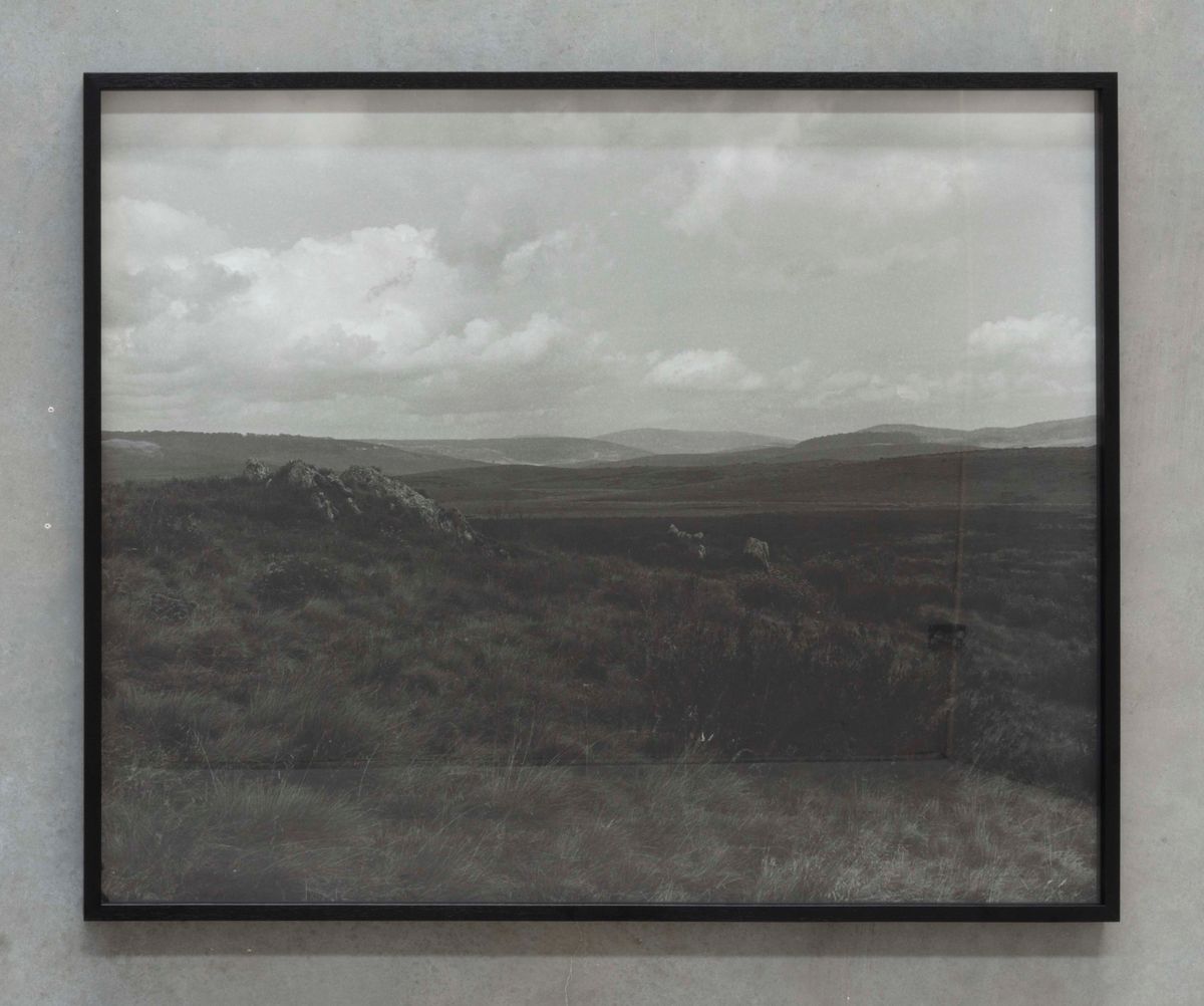 High Plains Kosciuszko National Park Wolgalu/Ngarigo Country (4417/7)