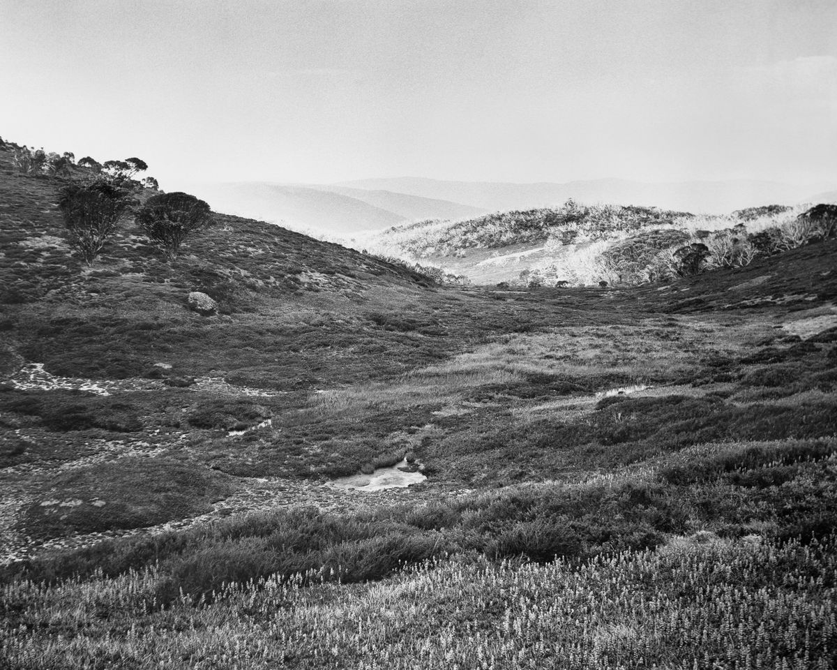 Bogong High Plains, Alpine National Park (4582/9)