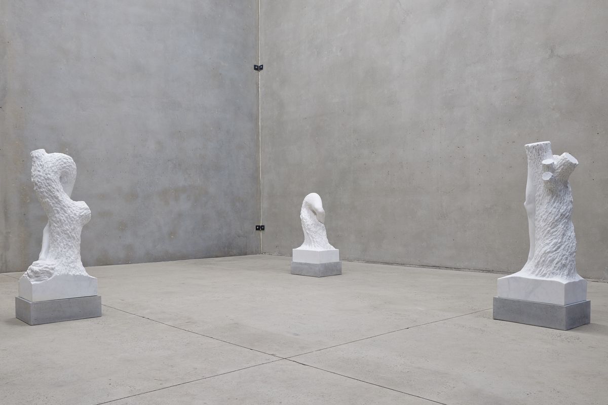 Stephen Ralph: Life is long