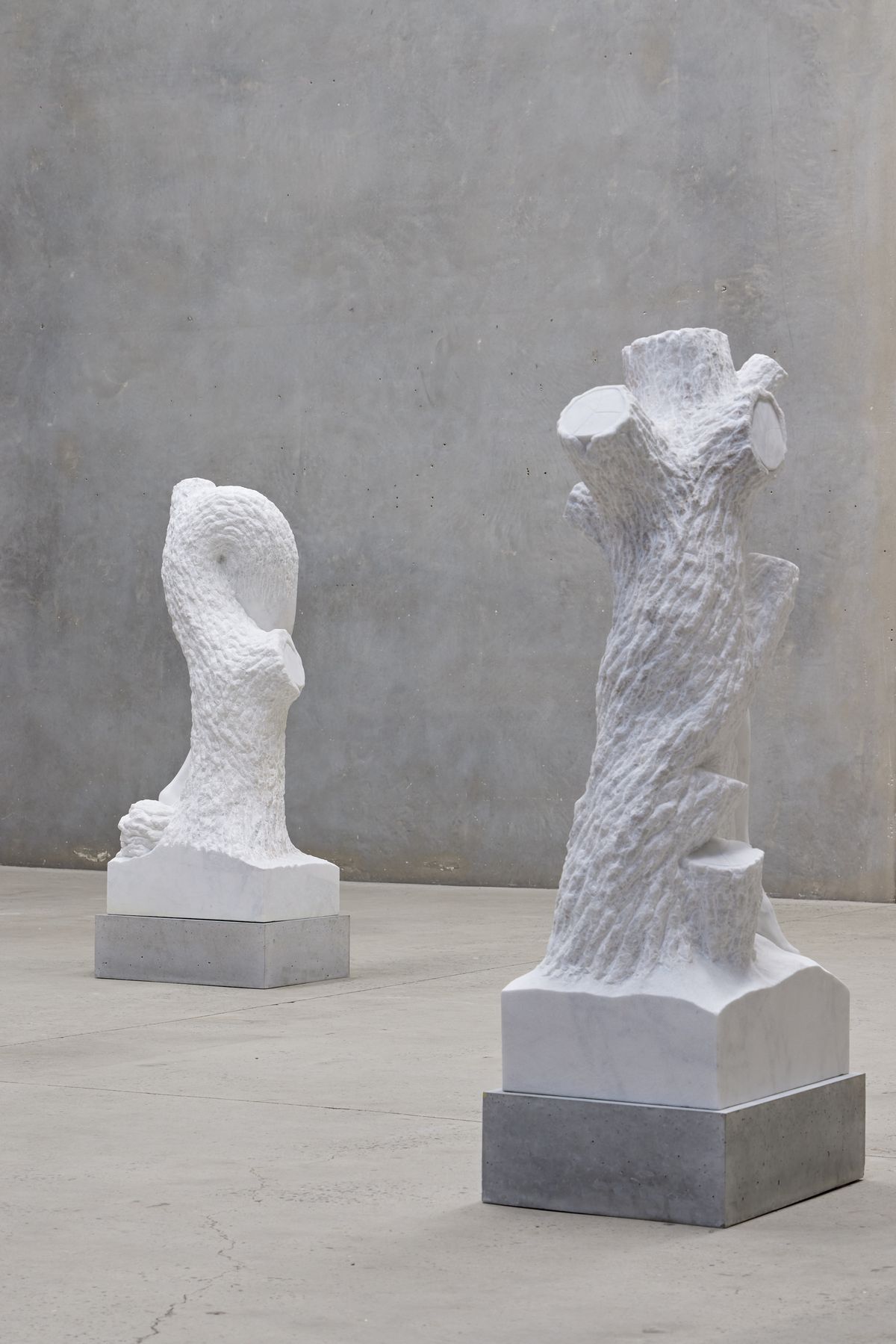 Stephen Ralph: Life is long