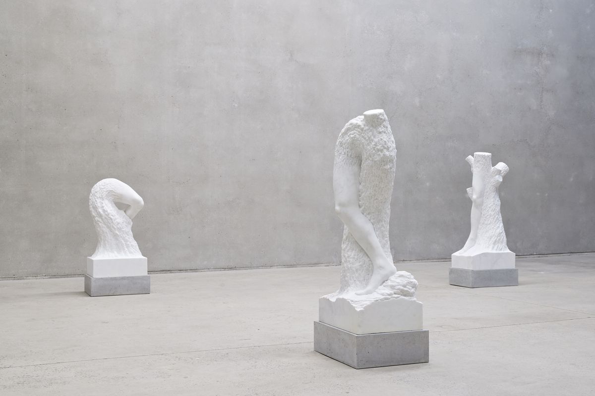 Stephen Ralph: Life is long