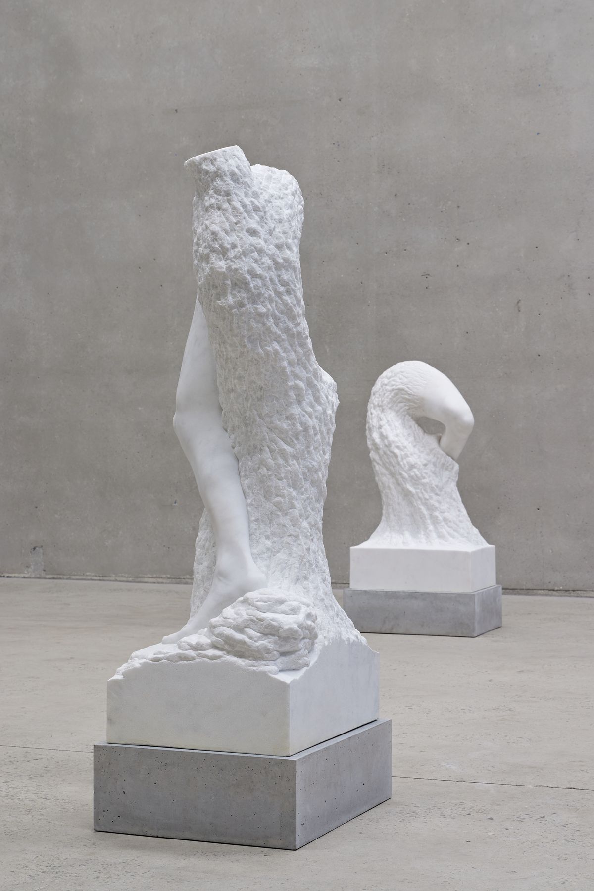 Stephen Ralph: Life is long