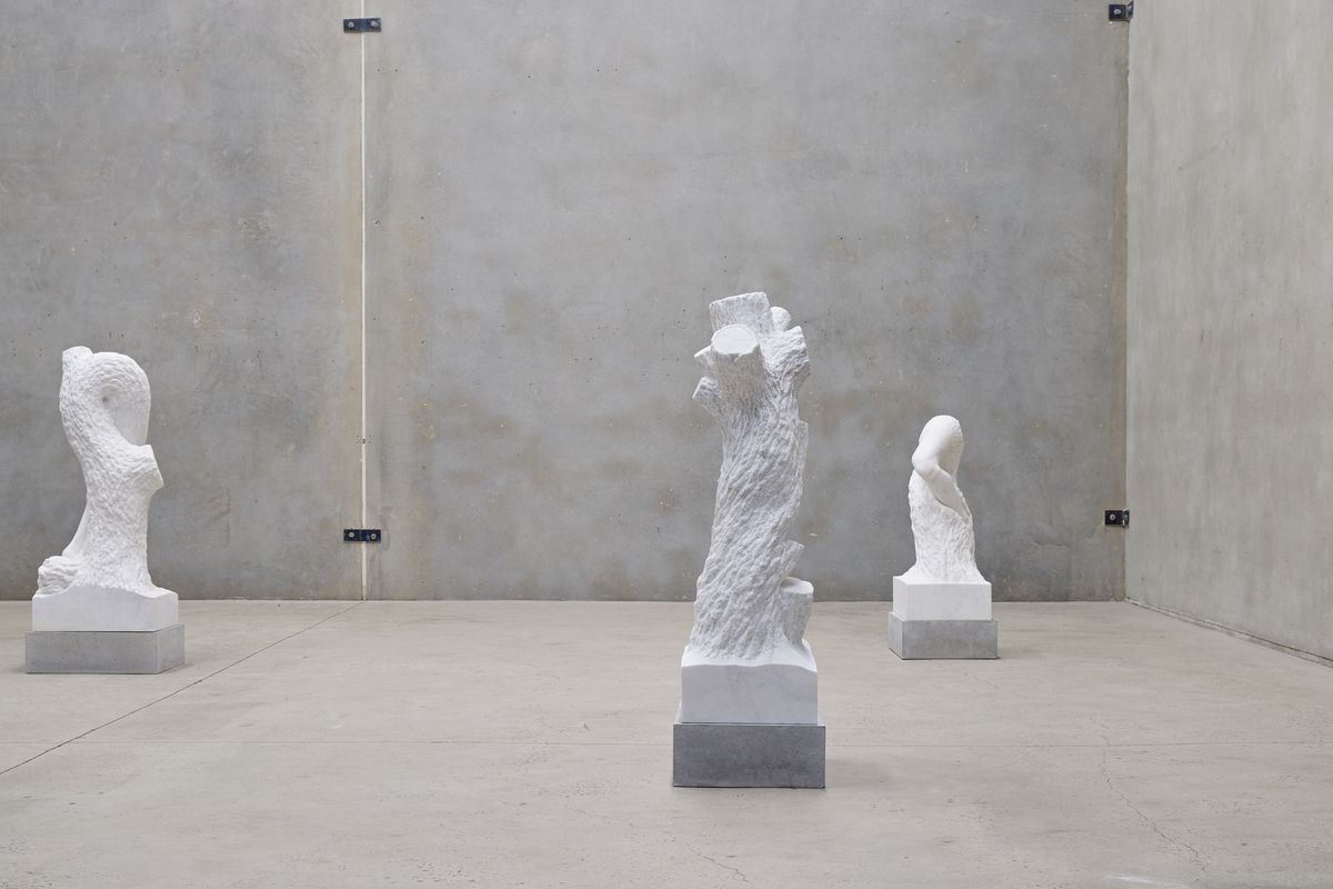 Stephen Ralph: Life is long