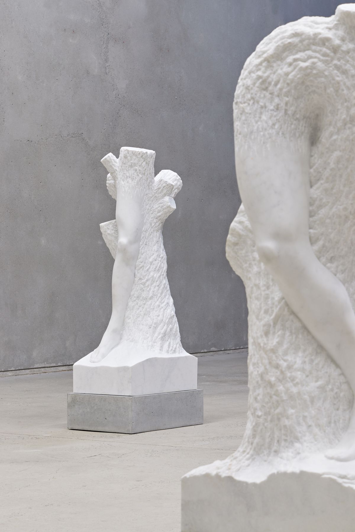 Stephen Ralph: Life is long