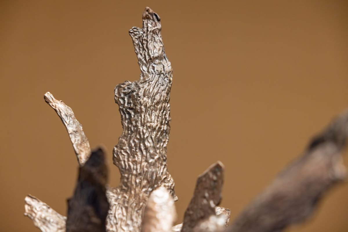 installation view: Yasmin Smith — Sediment, at Mosman Art Gallery, Sydney, 2023