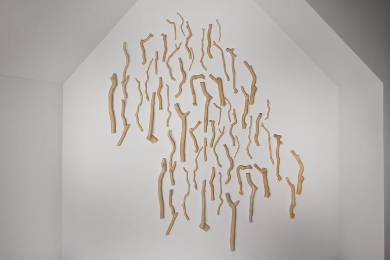 Yasmin Smith, Angophora, 2023