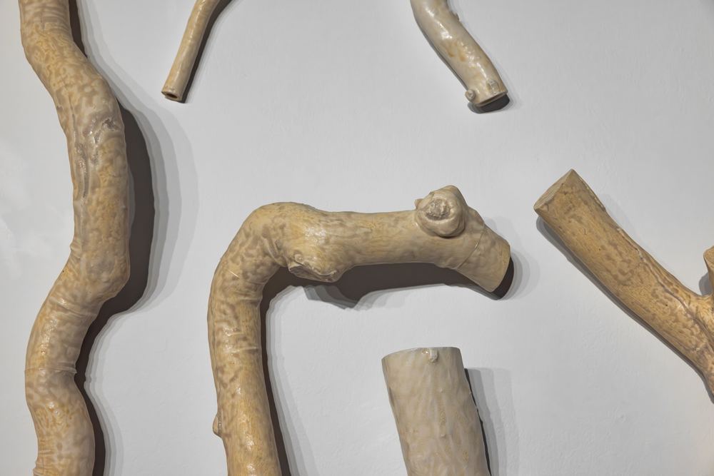 Yasmin Smith: Sediment