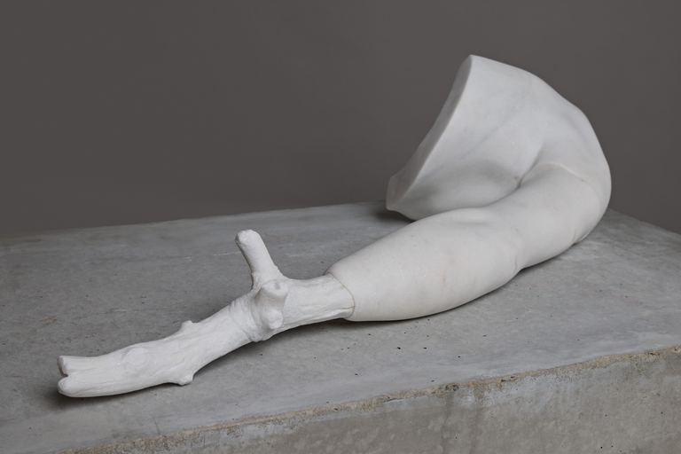 Stephen Ralph, Dead Wood, 2023