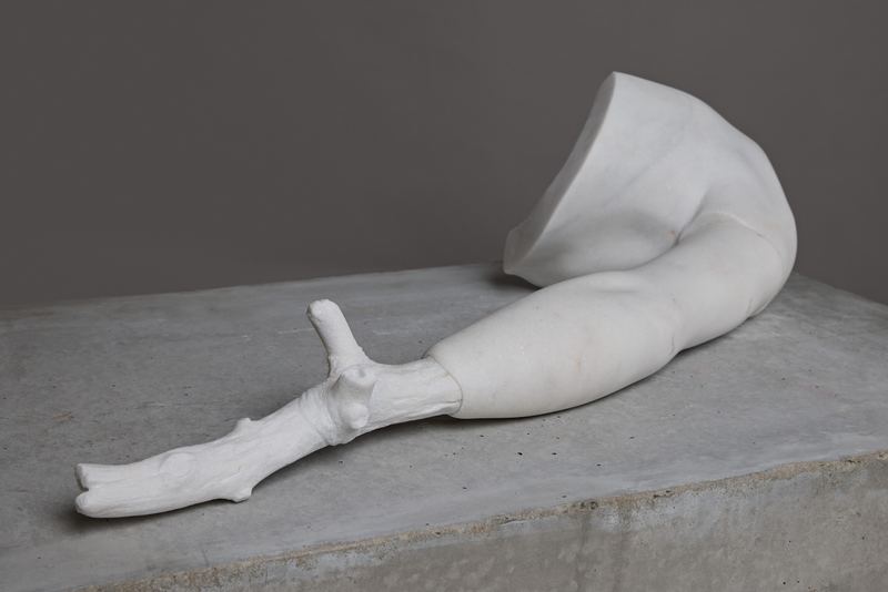 Stephen Ralph, Dead Wood, 2023