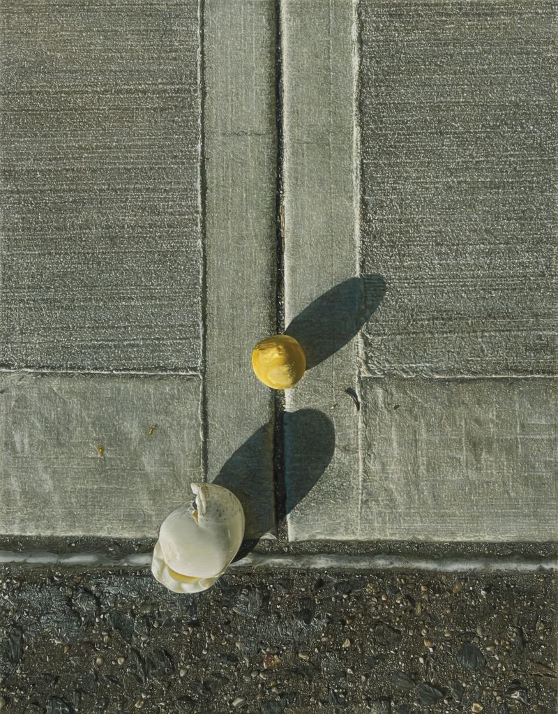 Anna Kristensen, Learning through observation (Egg), 2025